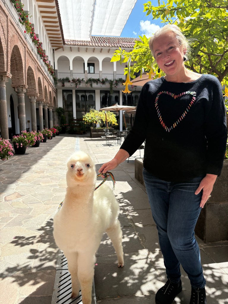 My new alpaca pal Panchita!