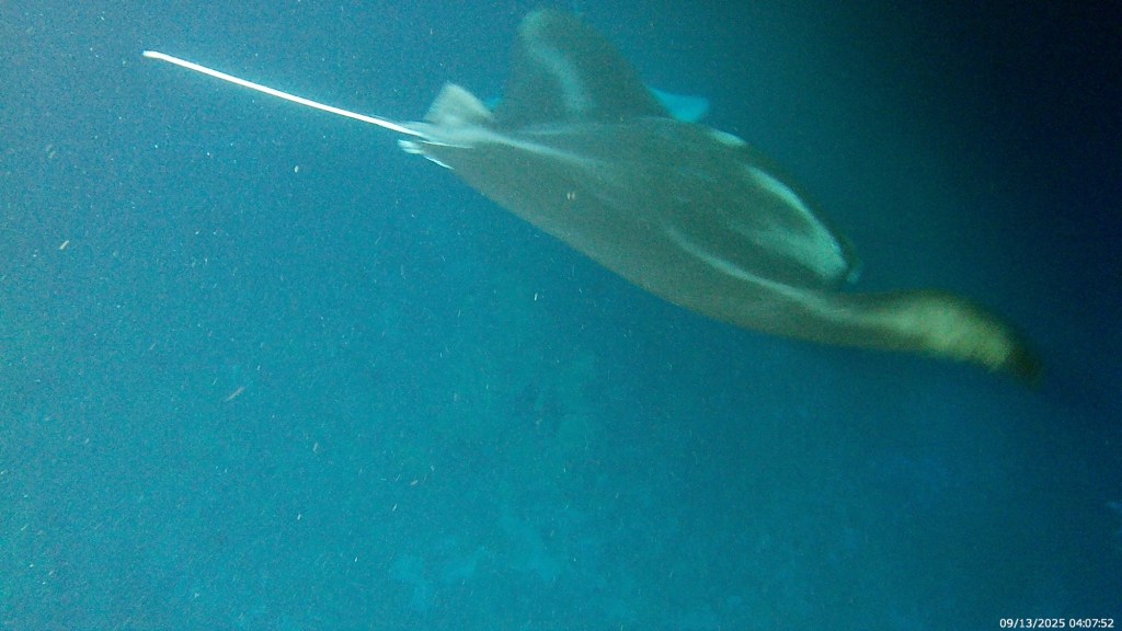 Hawaii- Day 3: Hotel Change and the Most Insane Thing I’ve Ever&nbsp;Done!