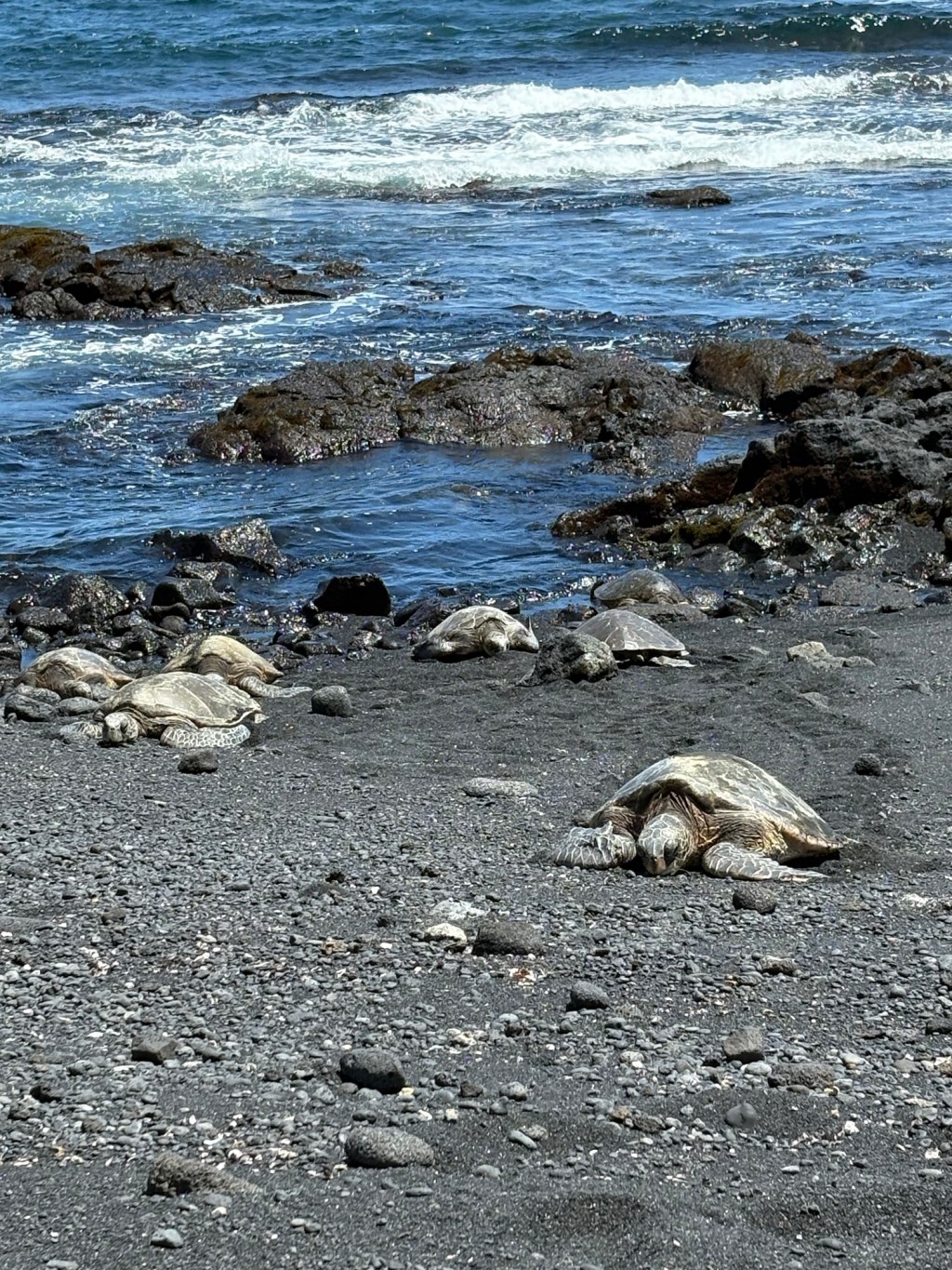 I’m in Love (Again)…Final Day on the Big&nbsp;Island