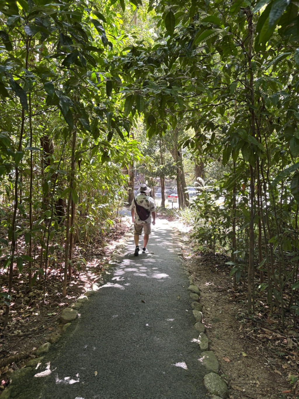 The Daintree Rainforest and&nbsp;Beyond!