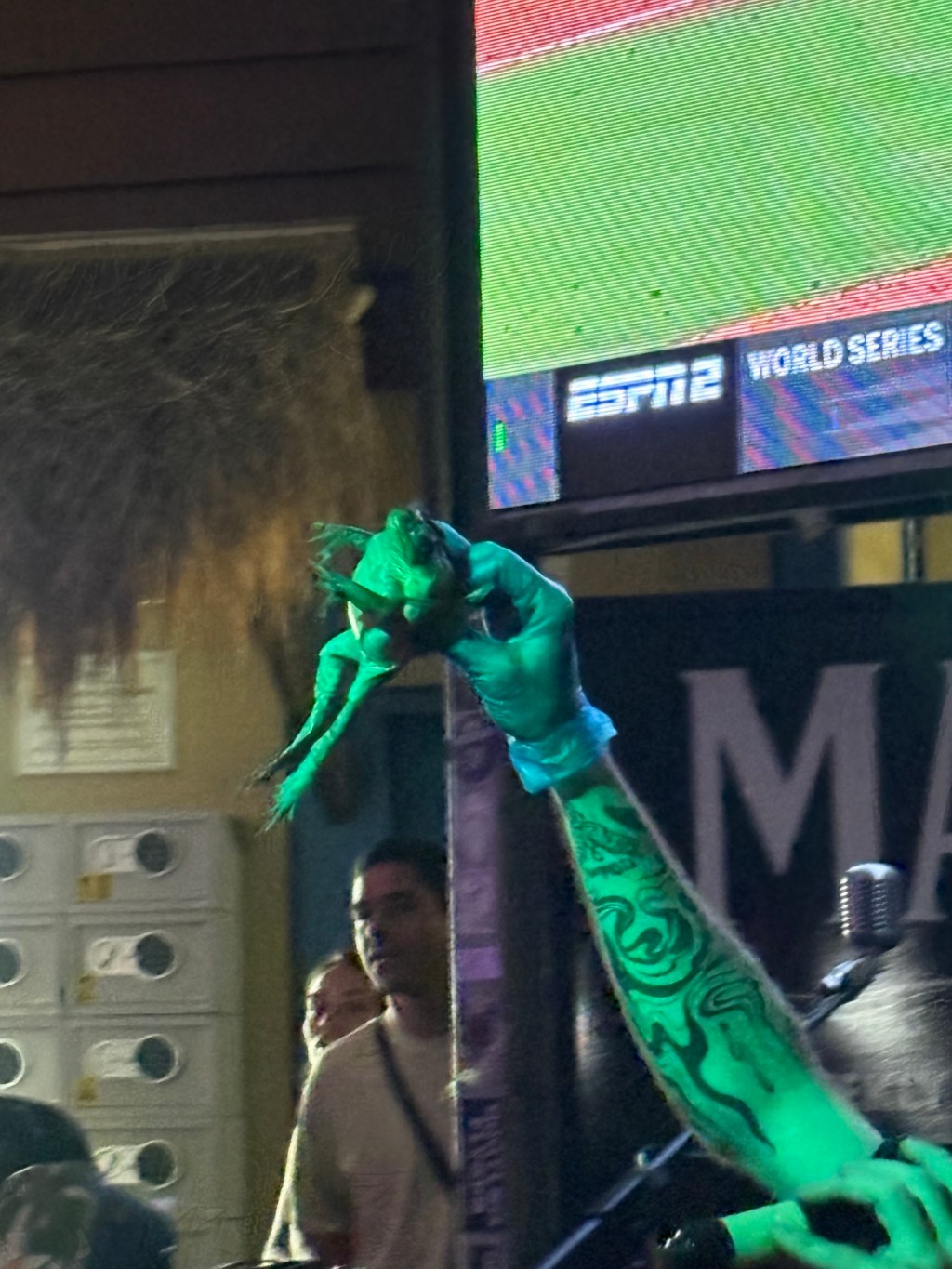 In the Heart ❤️ of the Reef: Airlie&nbsp;Beach