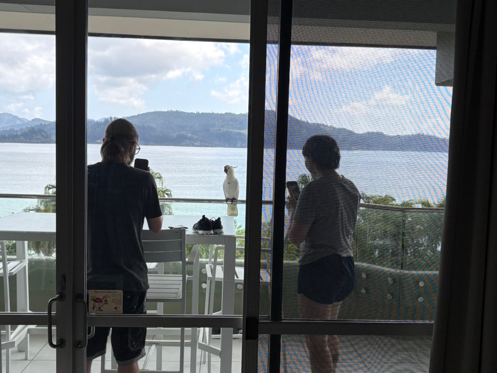 Hamilton Island Lifestyle