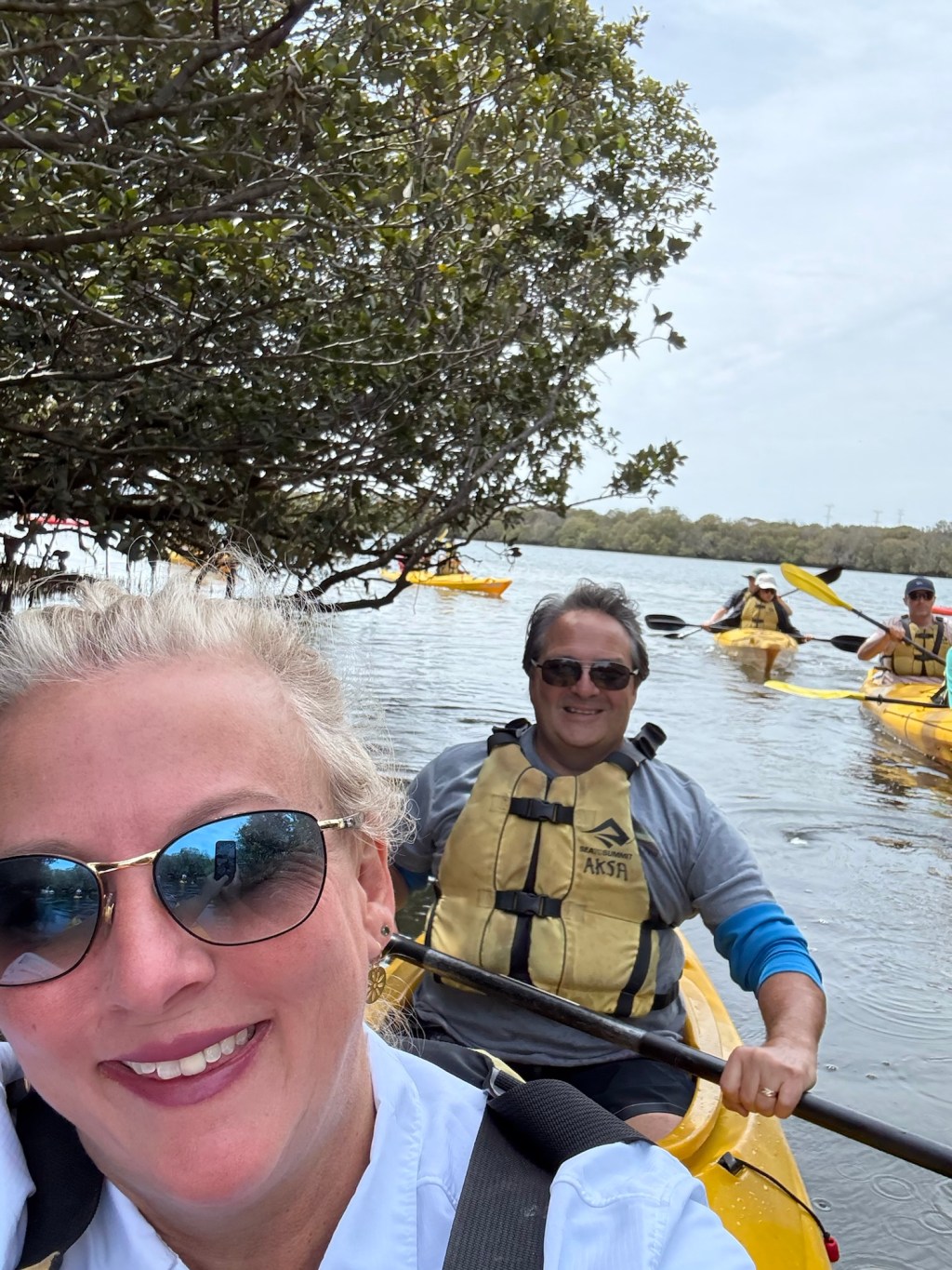 Melbourne and Adelaide Road Trip: Day 4- Dolphins & Shipwrecks Kayak&nbsp;Tour