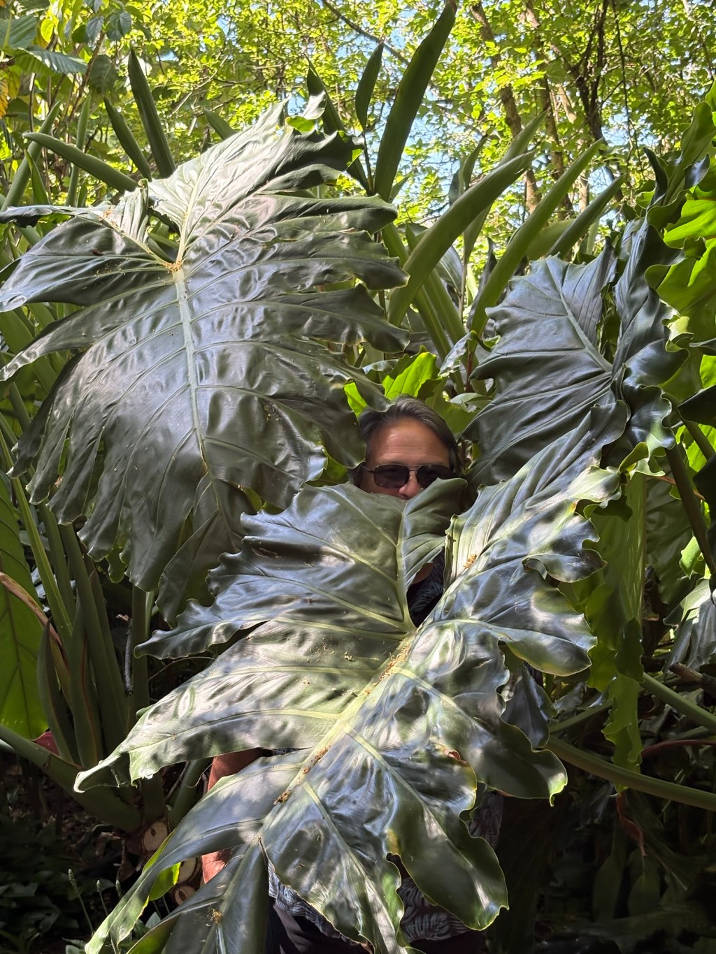 Melbourne: Tuesday 12/16 & Wednesday&nbsp;12/17